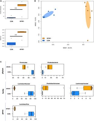 Wholegrain fermentation affects gut microbiota composition, phenolic acid metabolism and pancreatic beta cell function in a rodent model of type 2 diabetes